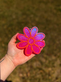 Daisy - Baja Cactus
